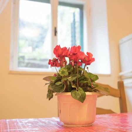 Apartman Juricic Лабин Екстериор снимка